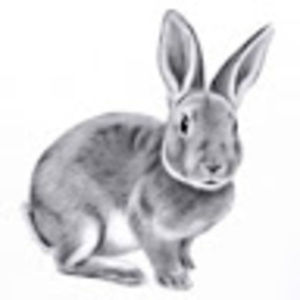 Meet your Posher, Niall